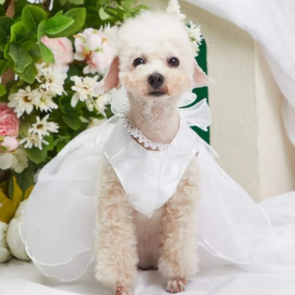 New dog wedding bridal dress